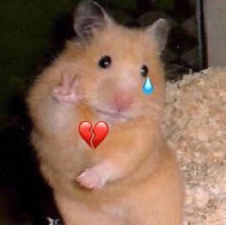 12月28日斗图表情包合集整理