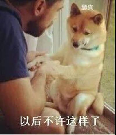 聊天斗图必备！这套舔狗表情包直接封神