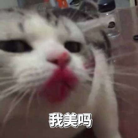 6月2日斗图表情包精选合集