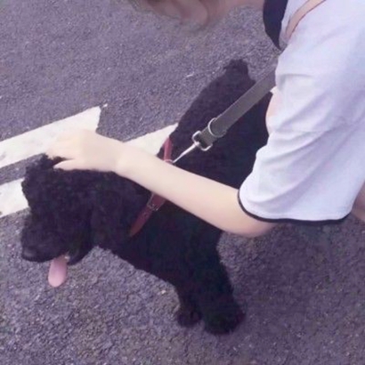 超有意思！8张可爱的“对象不是人”系列情头来啦