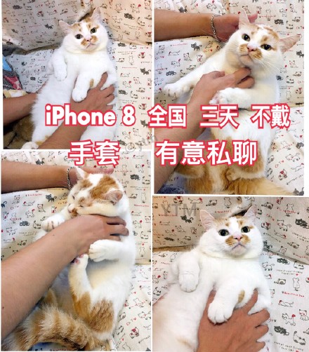 9月14日热门表情包原图合集