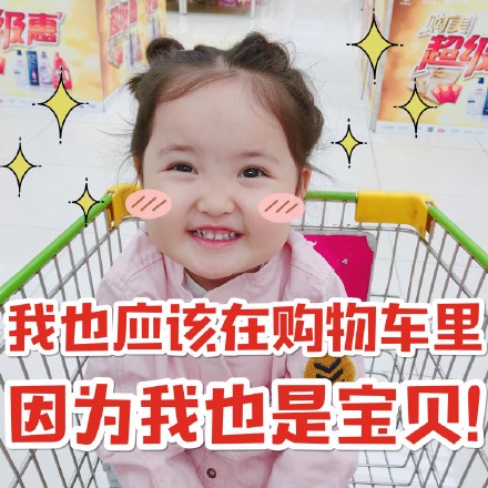 11月12日热门斗图表情包合集