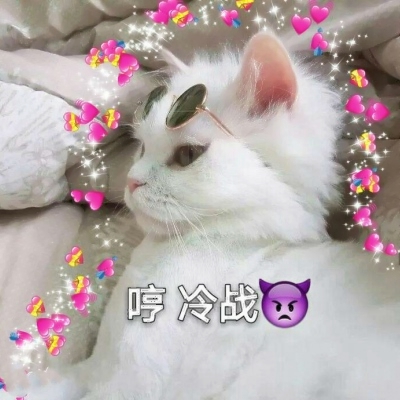 搞怪动物情侣头像来啦！带字创意款共12张高清图