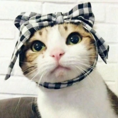 一对两张超萌搞怪猫咪情头 10组可爱情侣头像合集