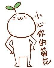 聊天斗图必备！这款颜文字表情包合集超有意思