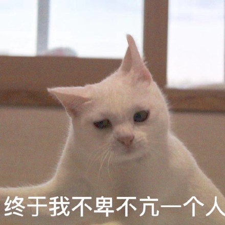 10月9日热门表情包合集