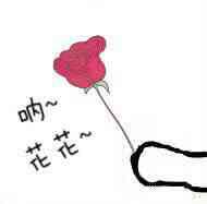 送花花表情包来啦！不接受就当小狗哦