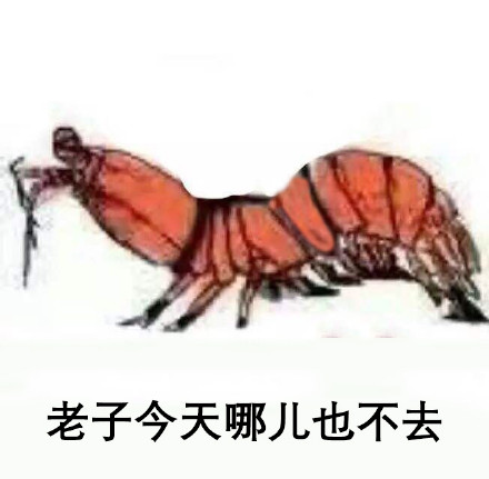 皮皮虾今天摆烂不出门啦！