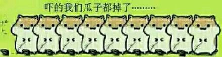 聊天斗图新宠！这套掉瓜子表情包把整活玩明白了