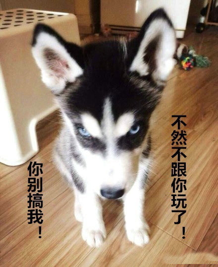 单身狗专属表情包合集