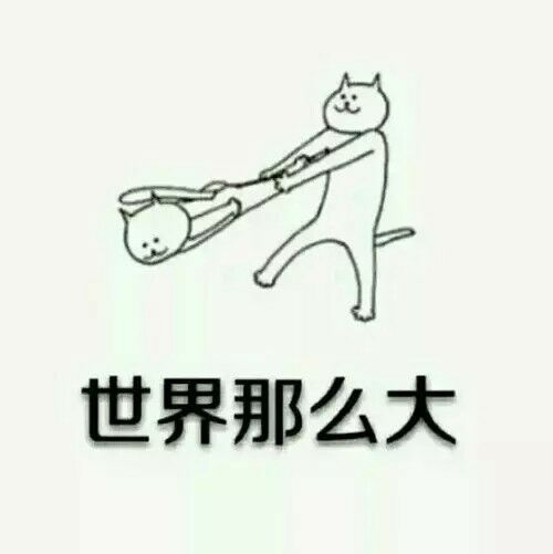 「世界那么大，你应该去看看」神经猫表情包合集