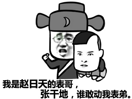 龙傲天叶良辰赵日天张干地表情包合集