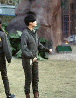 火了十年的春哥表情包 斗图圈的常青树