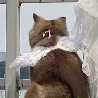 当下最火的情侣高清头像 共14张合集