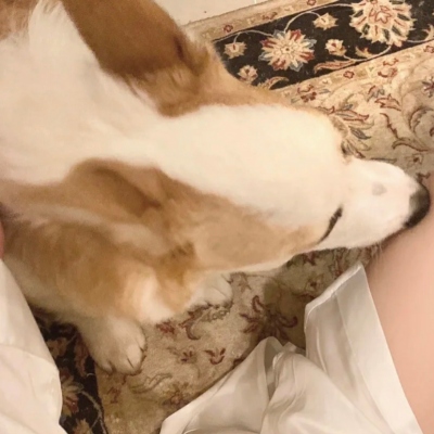 14张超可爱“对象不是人”情头！玩网党必存的高清好看情侣头像