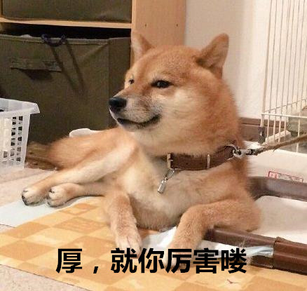 天冷不想动？汪星人表情包求帮忙上厕所