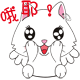 软乎乎的白色小猫咪表情包来啦