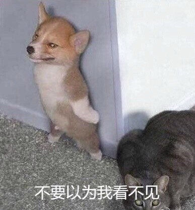 当年高中老师的口头禅，你还记得几句？