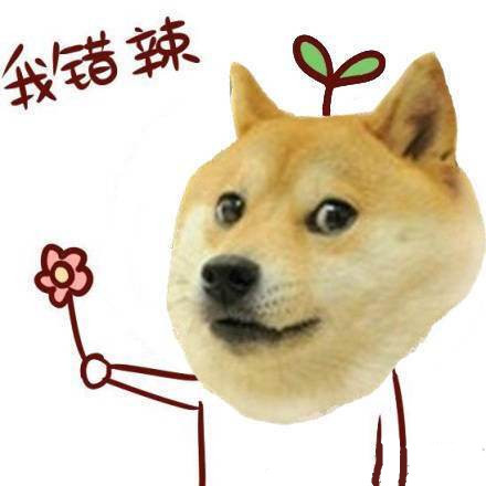 单身狗专属的拽拽表情包合集