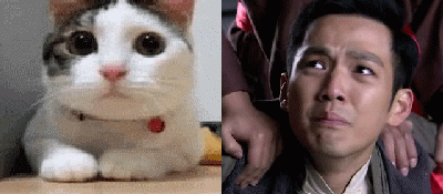 钟汉良的表情和萌宠表情包撞脸了？相似度拉满！