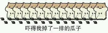 聊天斗图新宠！这套掉瓜子表情包把整活玩明白了