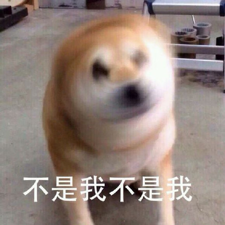 这套Doge内心戏表情包，简直是当代年轻人嘴替
