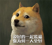 doge最新装逼表情包合集