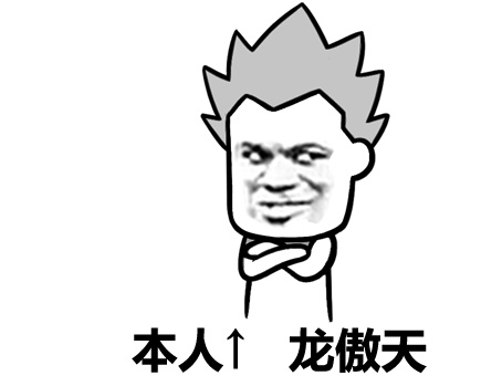 龙傲天叶良辰赵日天张干地表情包合集