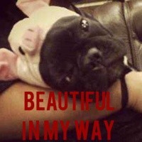 单身狗专属！这套英文版表情包太适配日常吐槽