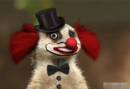 这些萌宠笑脸表情包太治愈了