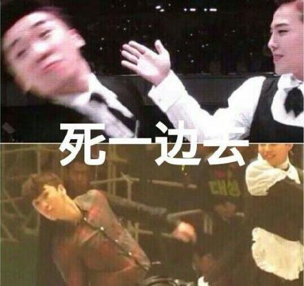 斗图党集合！这里有全套最强表情包