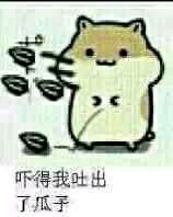 爱嗑瓜子的仓鼠表情包合集来啦