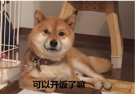 天冷不想动？汪星人表情包求帮忙上厕所