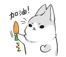 软萌几兔表情包来啦