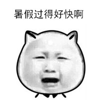 超实用猫脸配字表情包合集