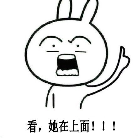 聊天斗图必备！恶搞兔搞笑表情包合集