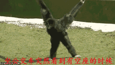 救命！这些狗狗表情包精准戳中了我的日常心态