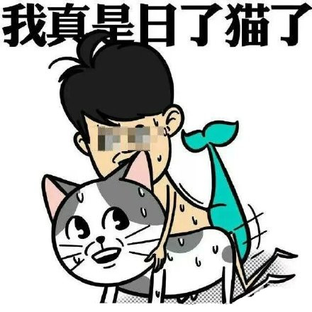 我真是日了狗了系列（三污）表情包合集