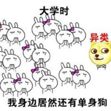 金馆长兔子版“校园异类”表情包火了，从小学到大学精准吐槽社恐日常
