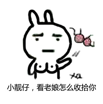 女流氓主题聊天表情包合集