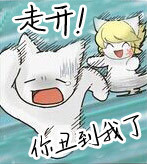 超治愈小萌猫表情包合集来啦