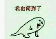楼上又放臭屁我都闻到了，对方还不承认？这套表情包太真实了