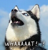 doge表情包又双叒叕来啦