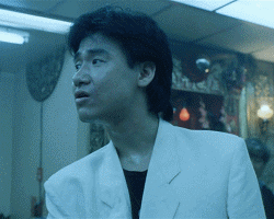 火遍全网的