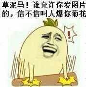 金馆长拍桌子表情包合集