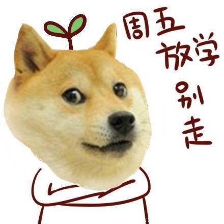 单身狗专属的拽拽表情包合集