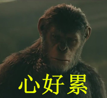 《猩球崛起》趣味表情包合集