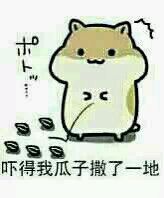 聊天斗图新宠！这套掉瓜子表情包把整活玩明白了