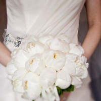 手捧花女生微信头像合集 36张唯美氛围感头像任你选