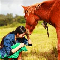 女生骑马的唯美微信头像合集 19张好看的女生骑马头像